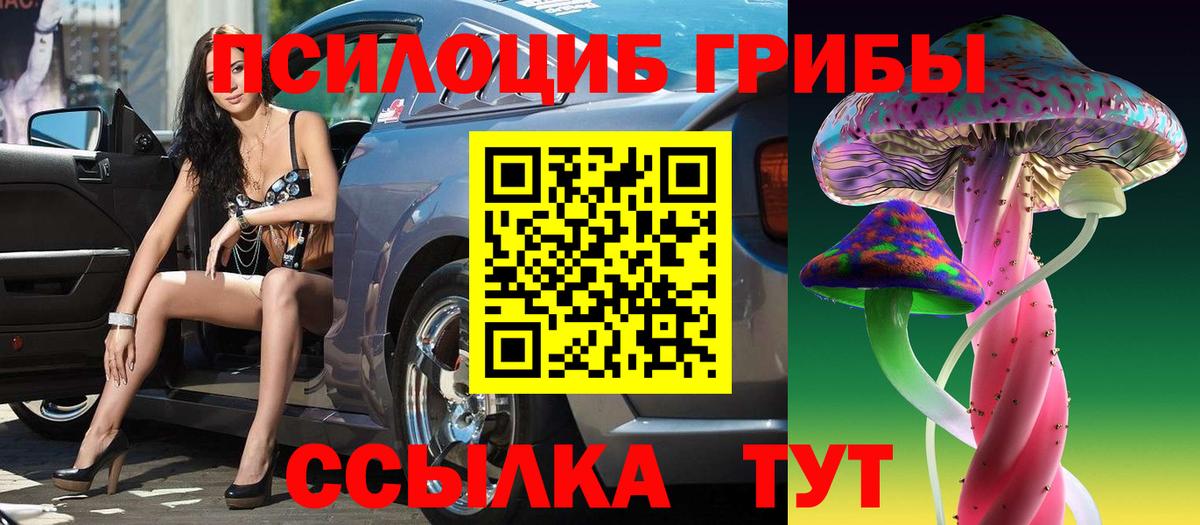 Мирный  Галлюциногенные грибы Psilocybine cubensis  Вход с VPN  Псилоцибиновые грибы Psilocybine cubensis 